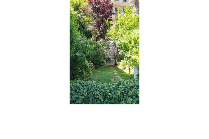 Rue Sébastien Mercier - Paris 15ème Vaugirard - Citroën - Boucicaut